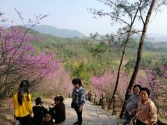 -天台山赤城山景区