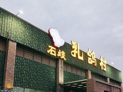 -石岐乳鸽村(南海第三分店)