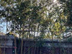 -北京益泉花园酒店