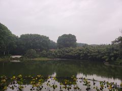 -河南省黄河迎宾馆