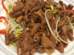 -鹅城