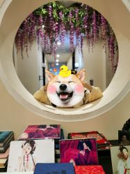 -盘子女人坊古装写真摄影(天津总店)