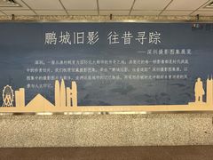 -南山图书馆(常兴路店)
