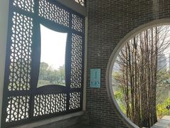 -映月湖公园