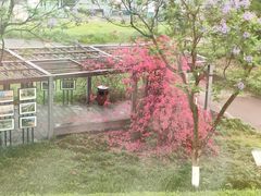 -宜家家居(高新商场店)