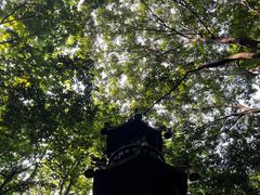 -穹窿山景区