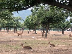 -西安秦岭野生动物园
