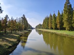 -黄海国家森林公园