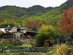 -塔川景区