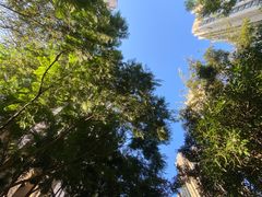 -李记 河口老字号越南小卷粉