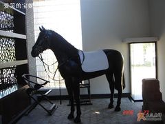 -松声马术俱乐部