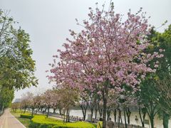 -南丰汇(新港东路店)