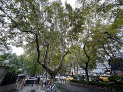 -南京维景国际大酒店(南京博物院店)