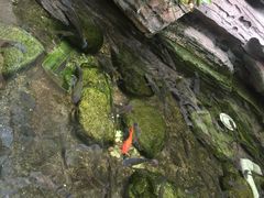 -嘉悦汗蒸时代(曙光路店)