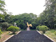 -海口火山口国家地质公园