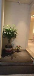 点击看大图 -苑苑vbeauty科技美容SPA
