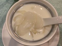 鲜奶海底椰炖花胶-松记糖水店(铜锣湾分店)