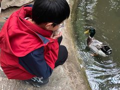 -郑州植物园