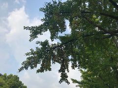 -苏州市立医院本部母子保健中心