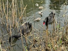 -西山漾湿地公园