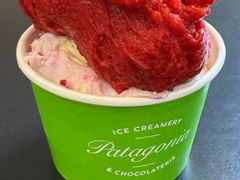 -Patagonia Chocolates(皇后镇店)