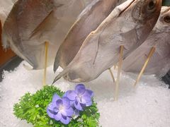 鲳鳊鱼-五星桥原切肥牛火锅·30年专注好牛肉(湖塘店)