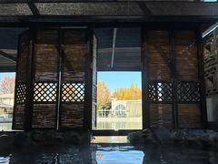 -春晖园度假酒店温泉