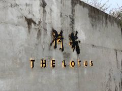 -几荷·恰似故人来(秀水广场店)