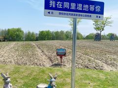 -同里国家湿地公园