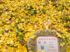 -上海方塔园