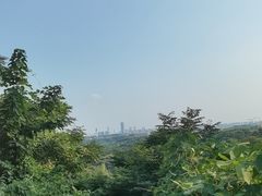 -南京老山国家森林公园