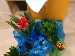 -双季花艺园艺市场(浦东店)