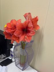 -北京俪婴妇产医院(朝阳大悦城店)