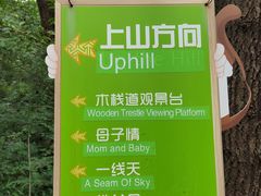 -大岭沟猕猴桃谷风景区