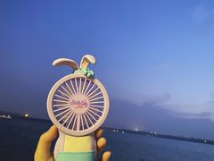 -丁香湖公园