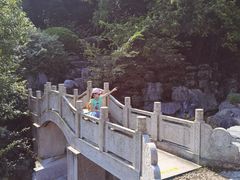 -陶祖圣境风景区