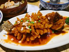 松鼠桂鱼-新梅华(太仓万达店)
