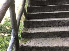 -龙湾潭国家森林公园