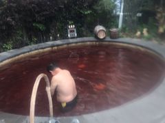 -长白山聚龙火山温泉