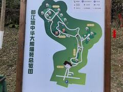 -都江堰中华大熊猫苑