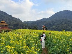 -广州市石门国家森林公园
