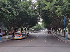 -西南政法大学(渝北校区)