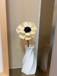 -杭州海亮医院 · 禾芸嘉医美中心