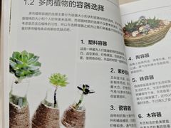 -厦门市图书馆(集美新城馆区)