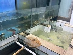 -小乡小镇·传承桐庐土菜·老板亲自烧的菜