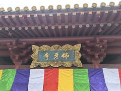-新加坡佛牙寺龙华院