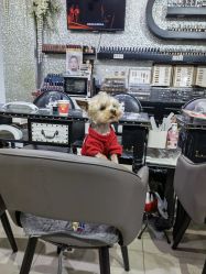 -LEILEI NAIL蕾蕾美甲美睫