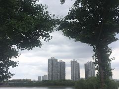 -长白岛森林公园