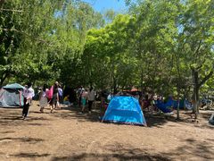 -长白岛森林公园