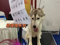 -宁波国际会展中心